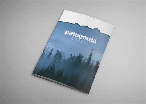 Reduced Price. . Patagonia annual report